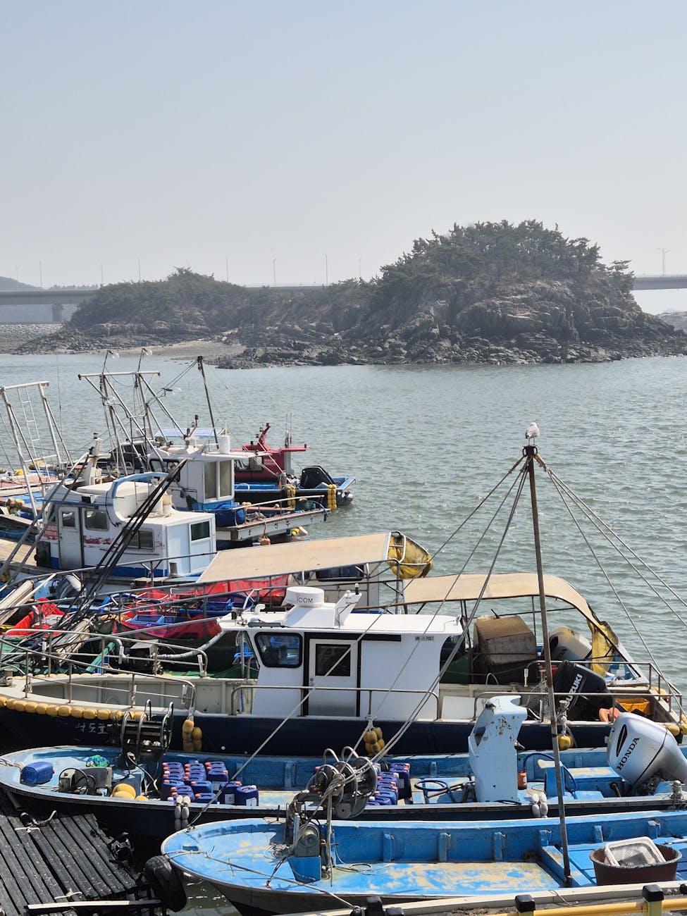 Fotoğraf: Nicholaus Choi