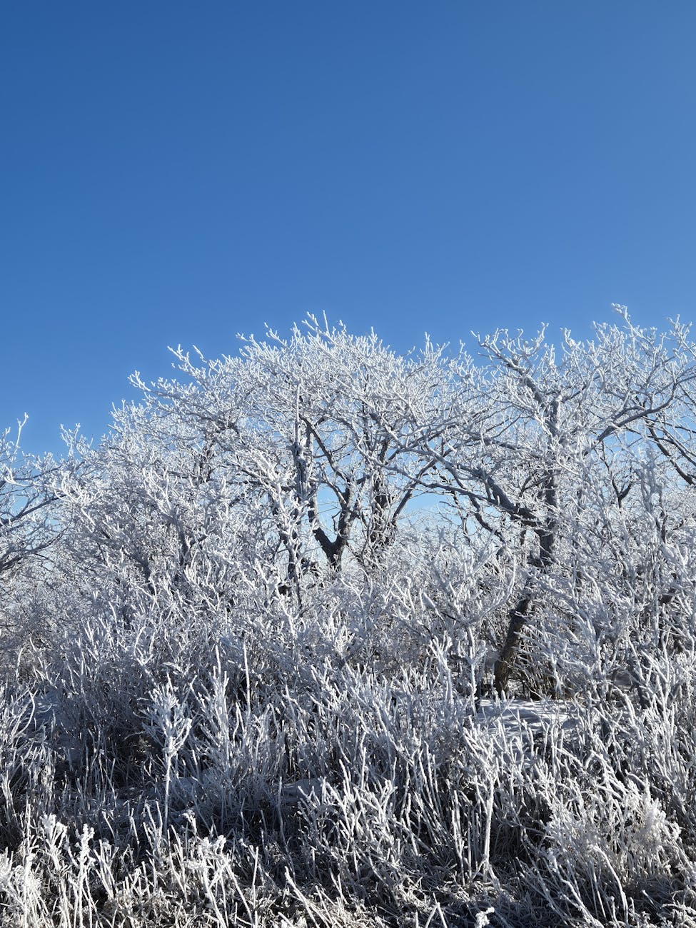 Fotoğraf: Nicholaus Choi