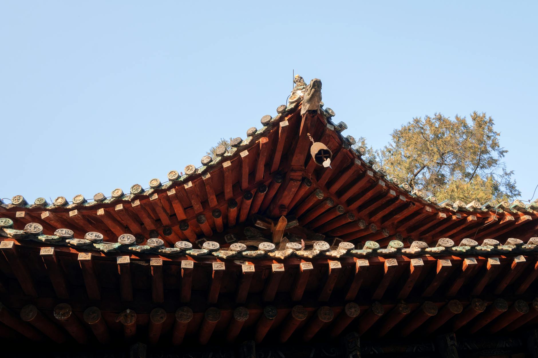 Fotoğraf: 舒楠 云