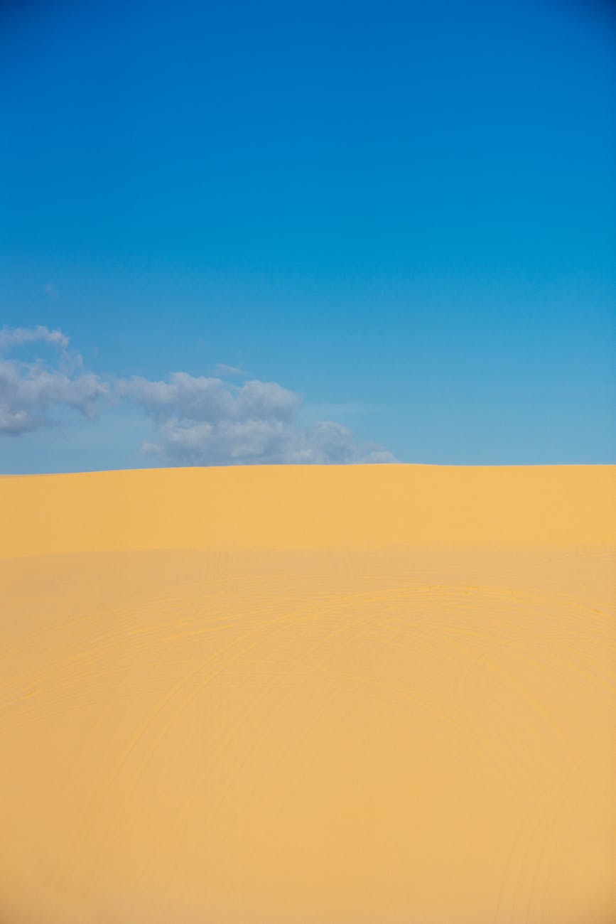 Fotoğraf: JIALE XIAO