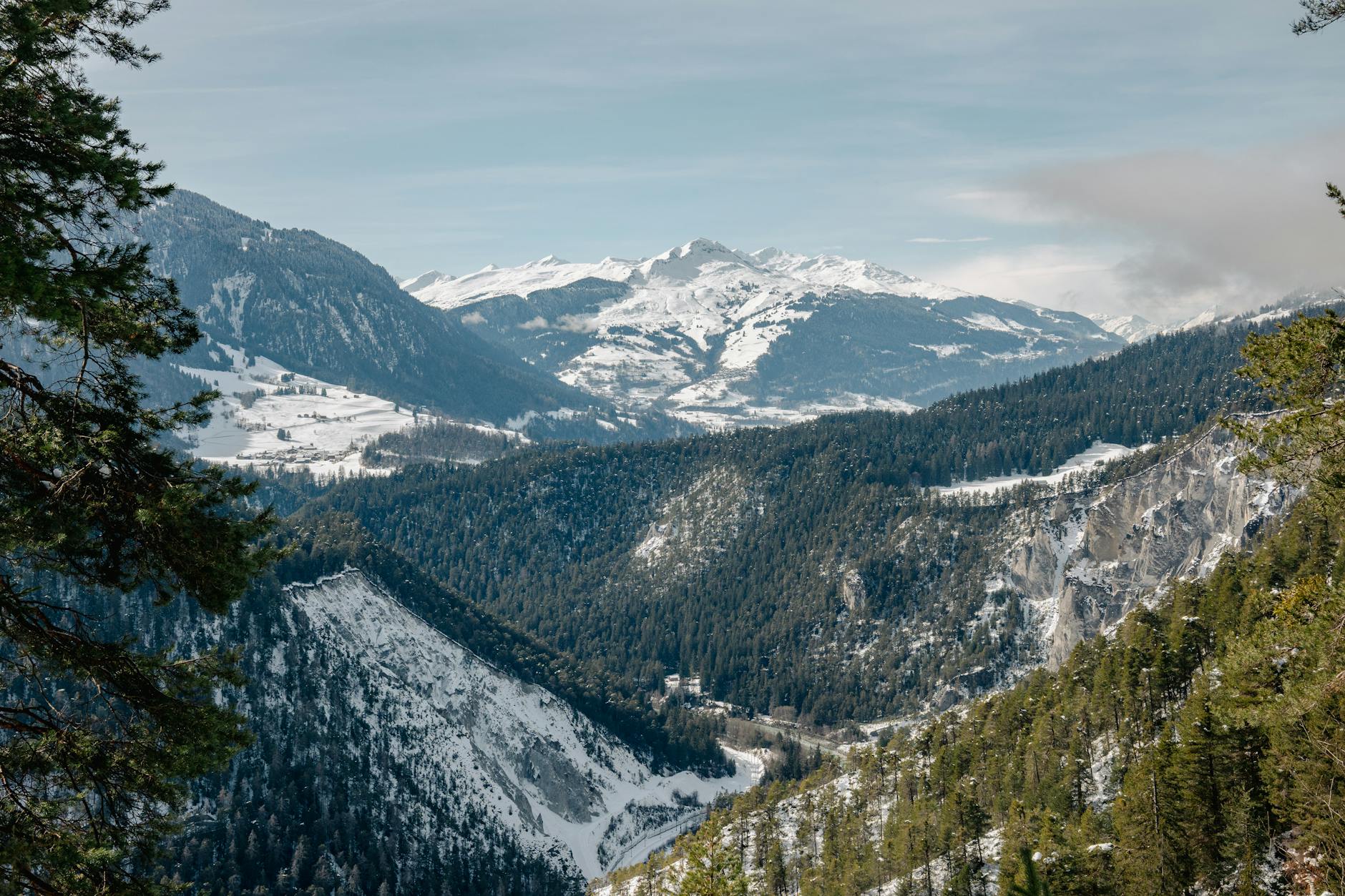 Fotoğraf: Oskar Gross