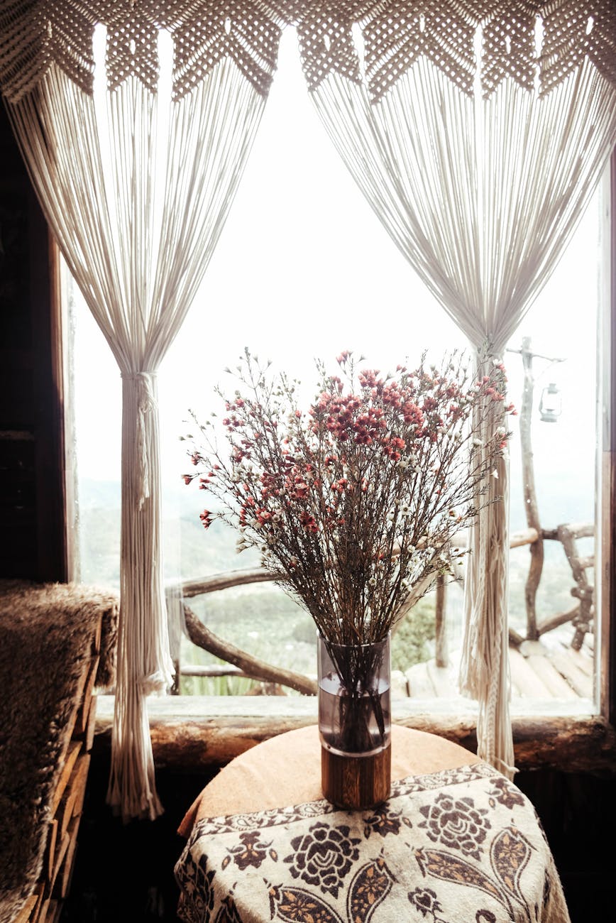 Fotoğraf: Du Tử Mộng