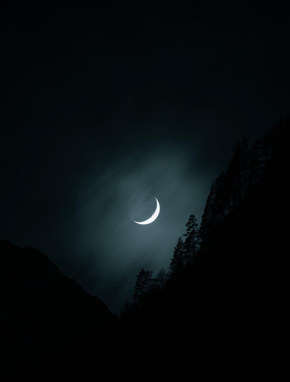 Fotoğraf: Rok Romih