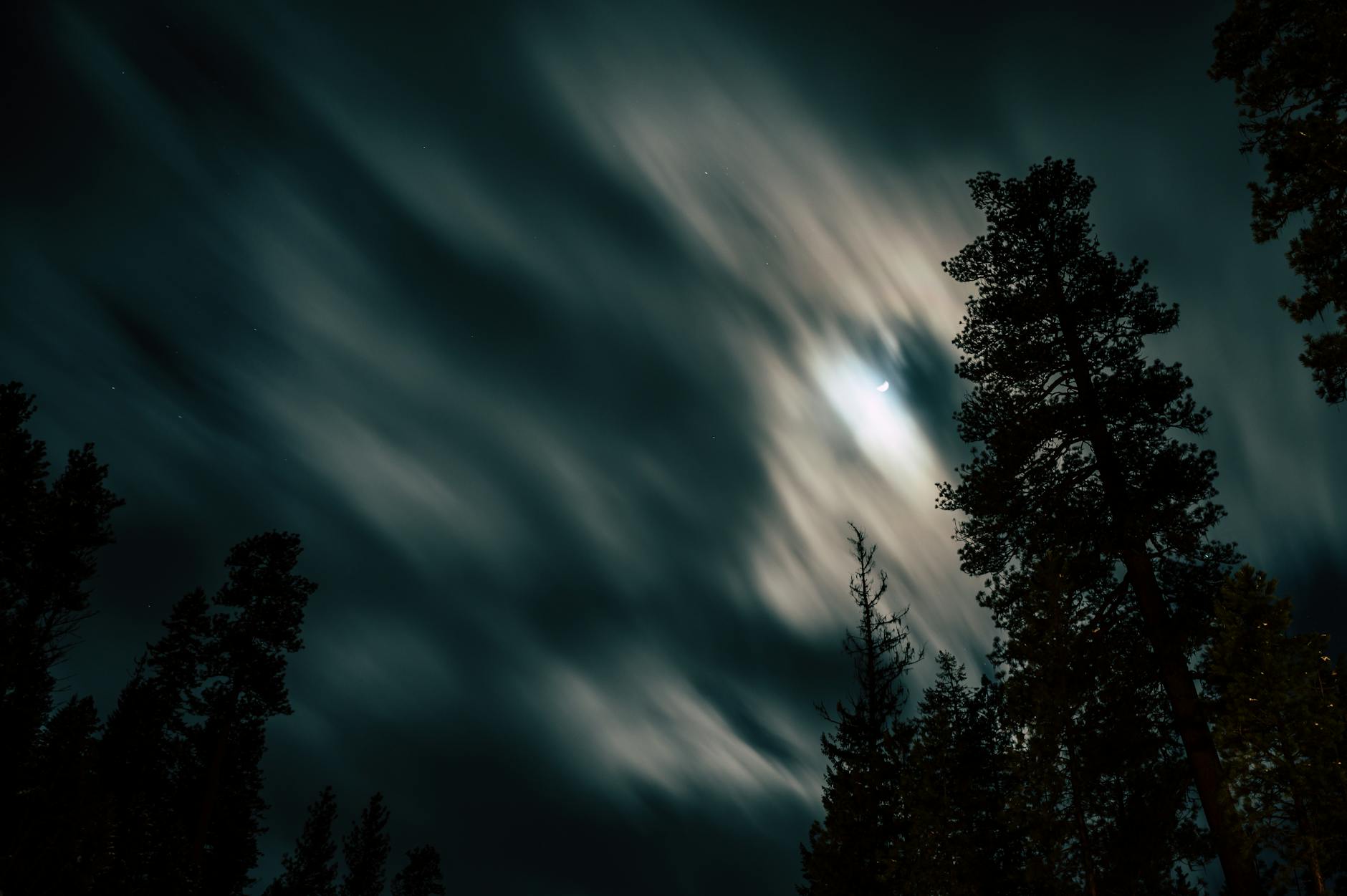 Fotoğraf: Brett Sayles