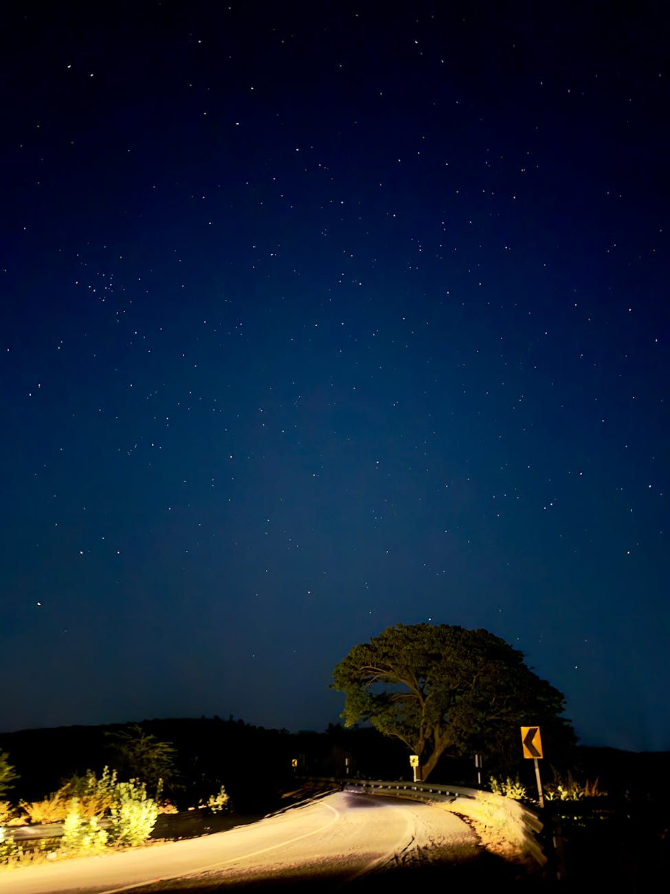 Fotoğraf: Saurabh Solanki