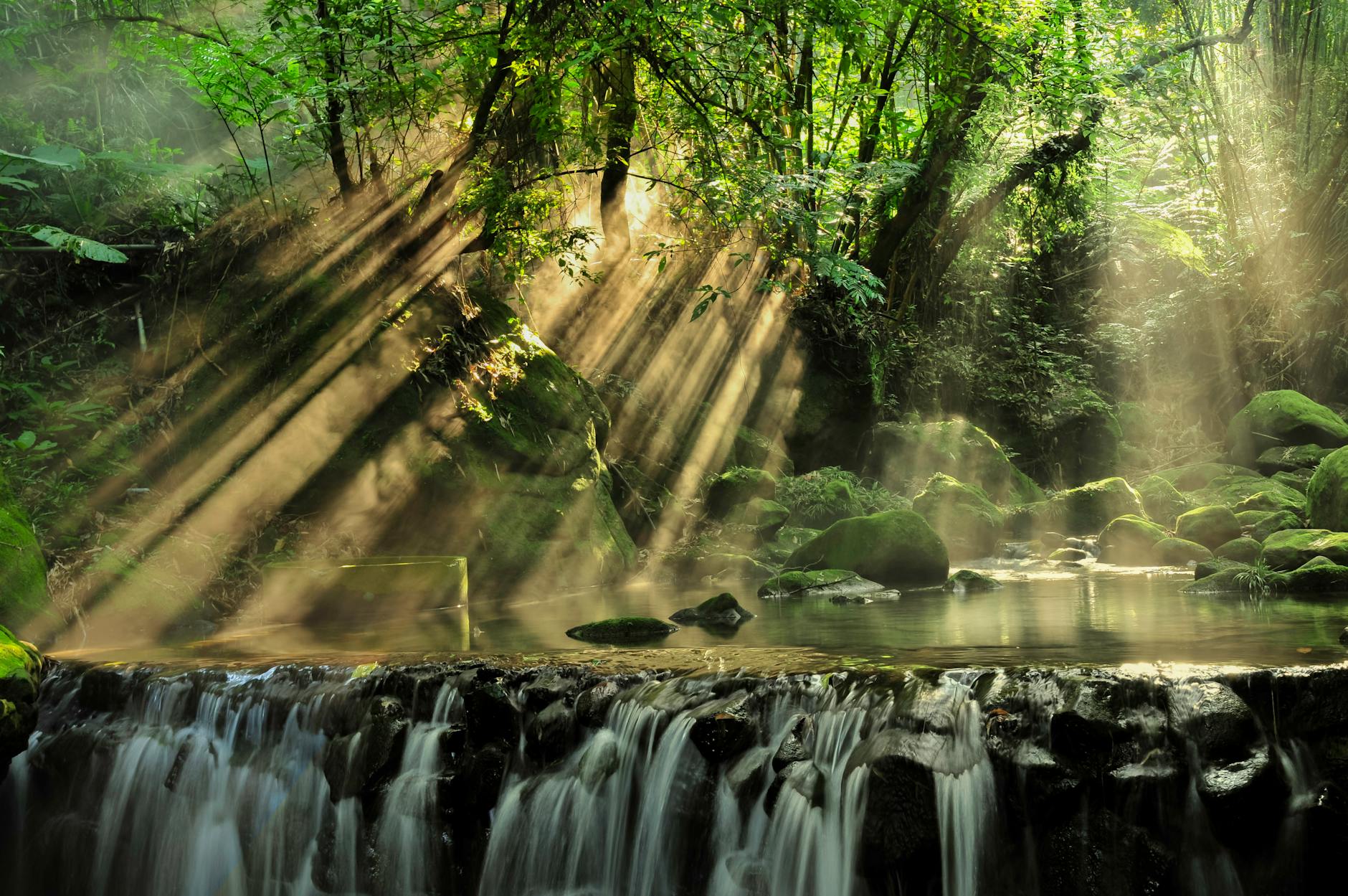 Fotoğraf: Arnie Chou