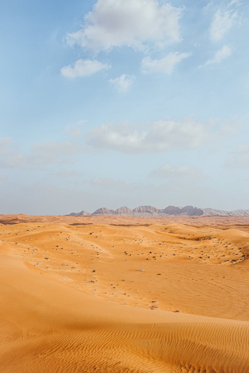 Fotoğraf: Benjamin Behre