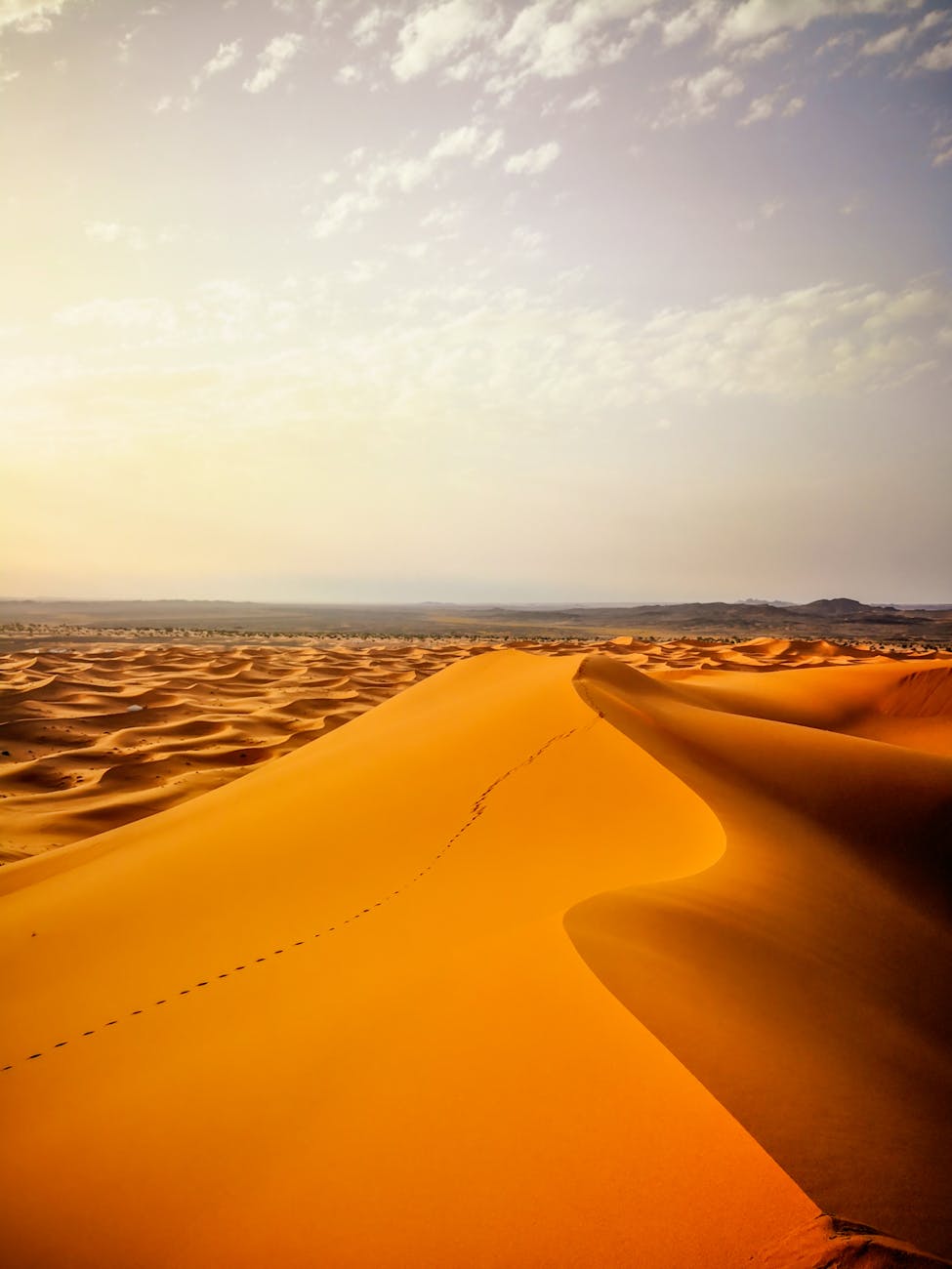 Fotoğraf: abdelhakim jemhoun