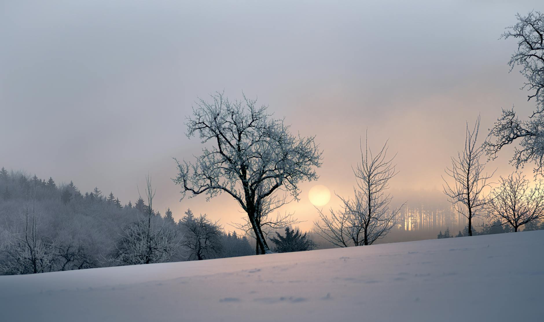 Fotoğraf: Simon Berger