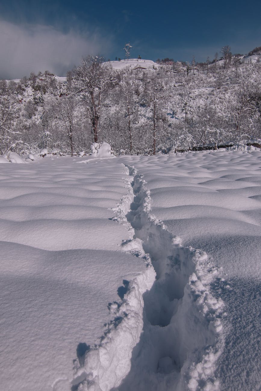 Fotoğraf: Orhan Namlı