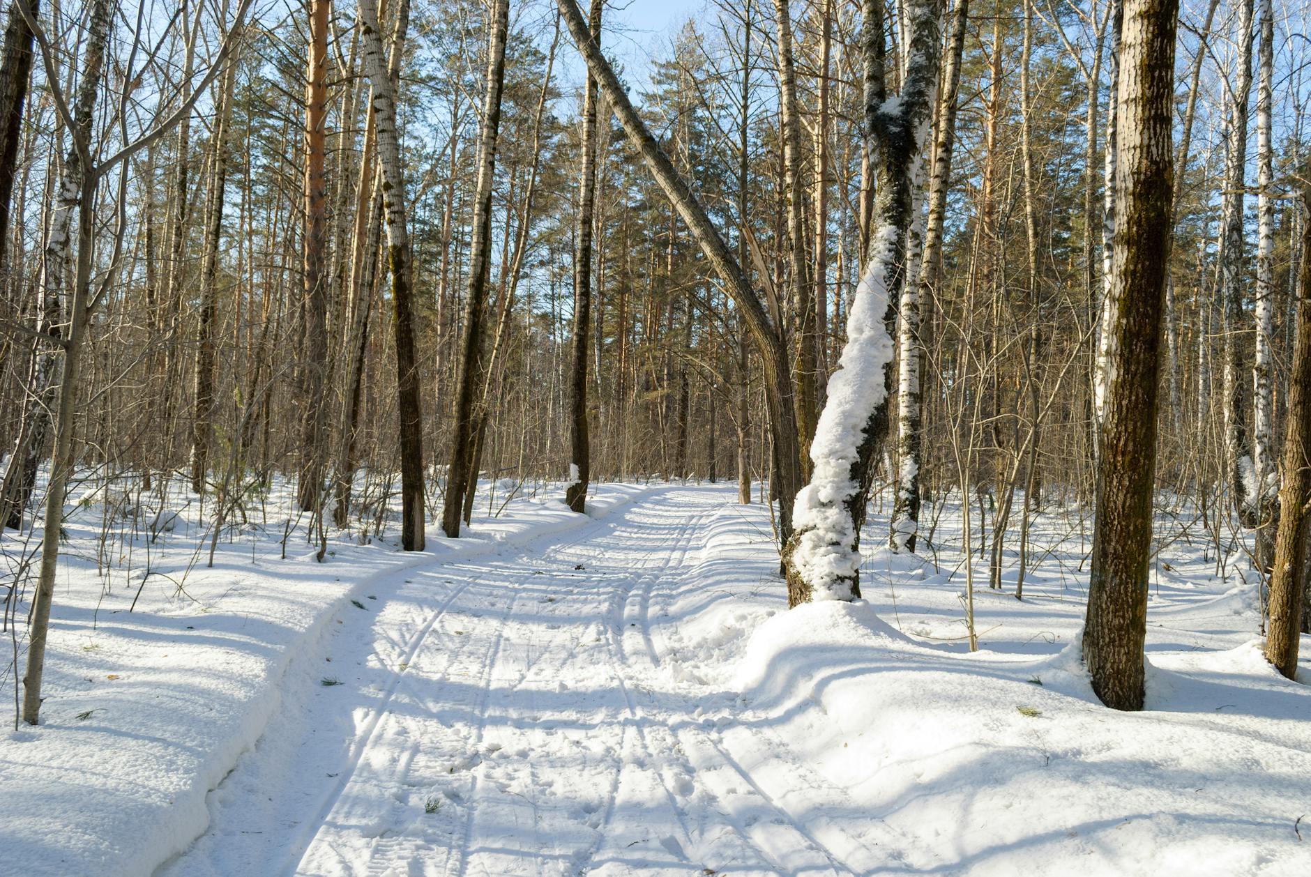 Fotoğraf: Mikhail Peace