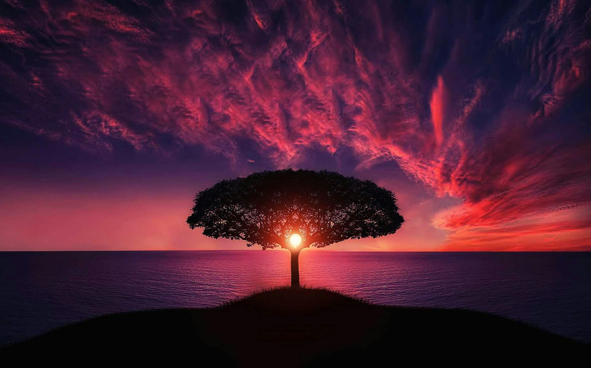 Fotoğraf: Pixabay