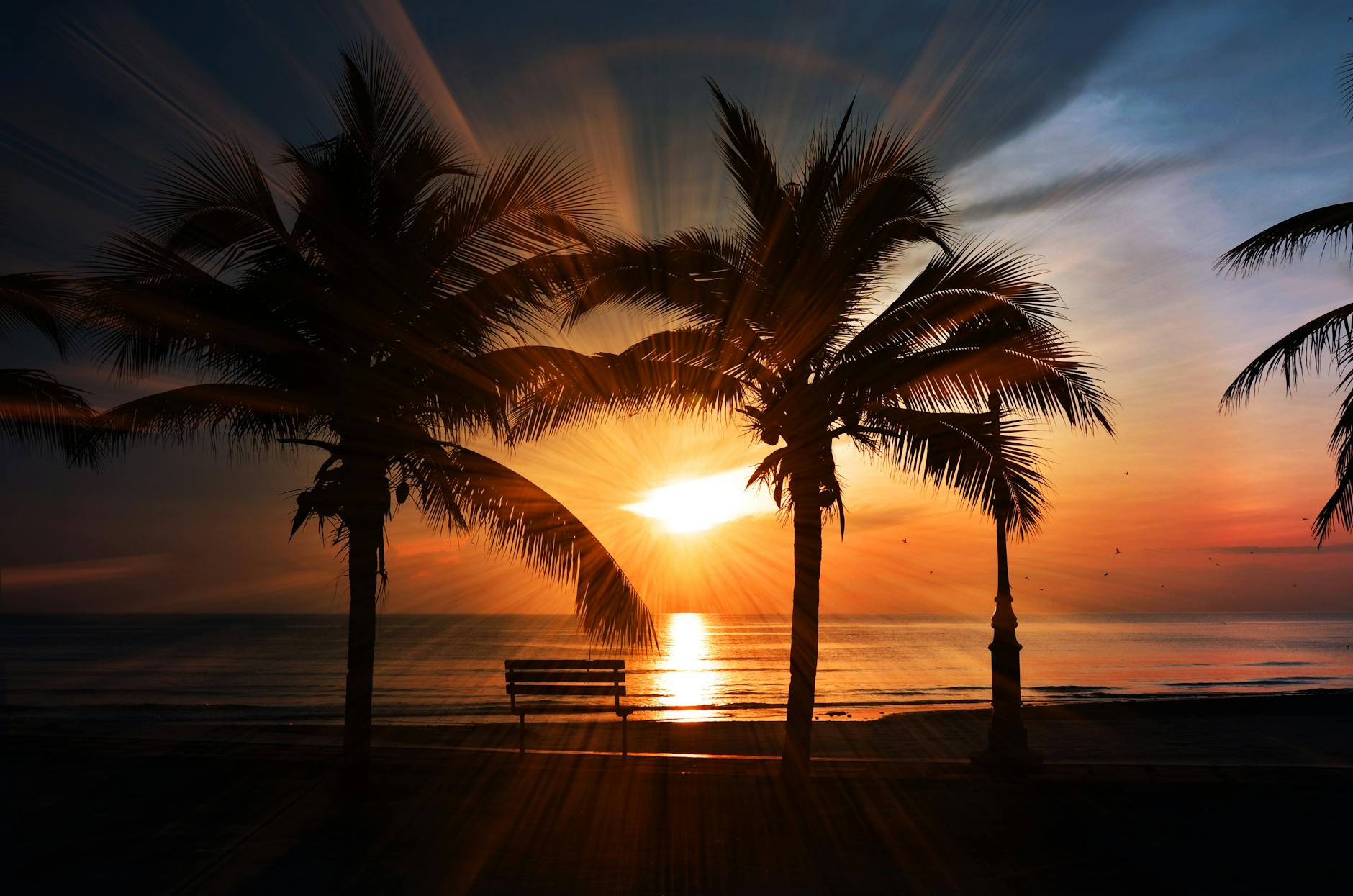 Fotoğraf: Pixabay