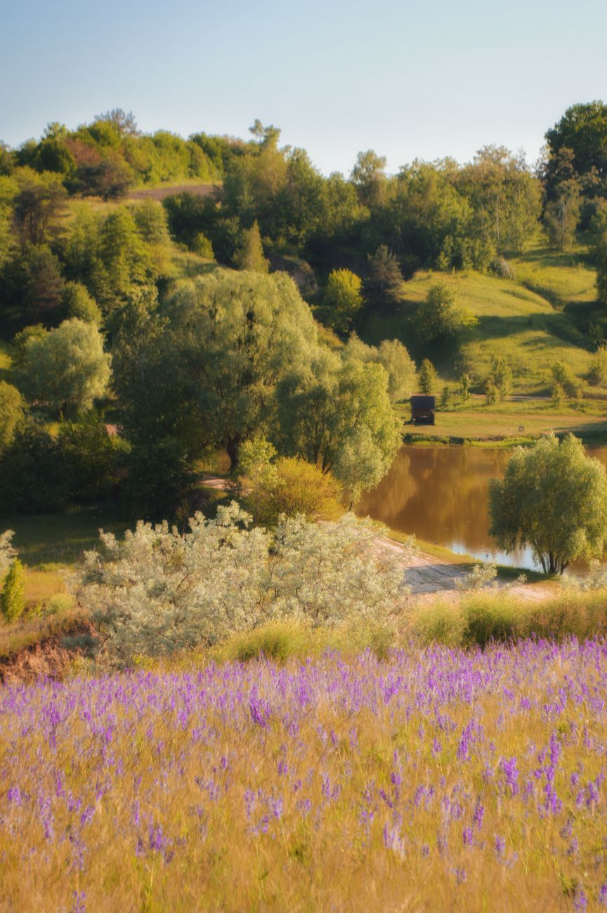 Fotoğraf: Iryna Skavronska