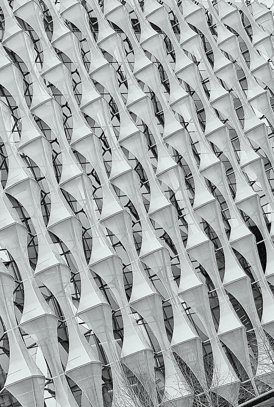 Fotoğraf: Mark Mwamba