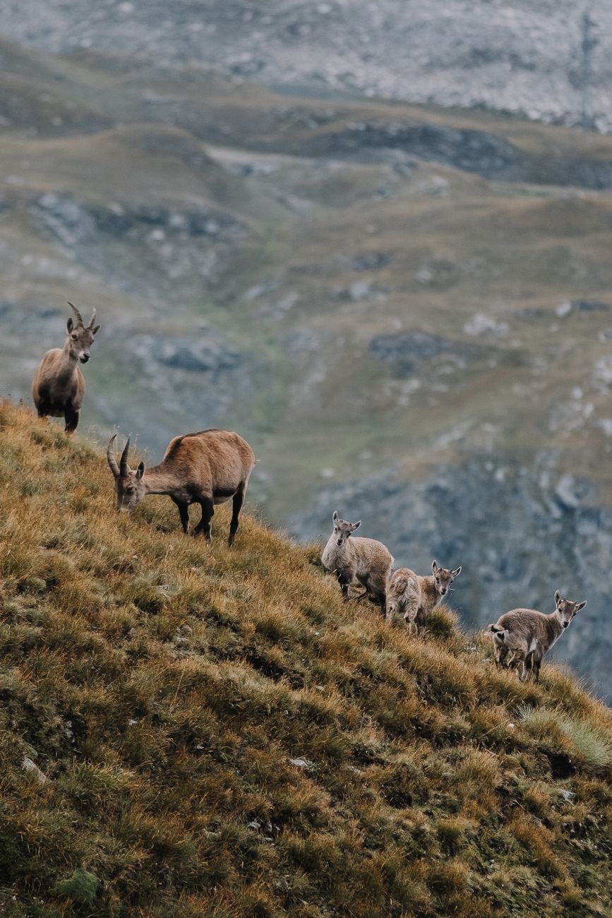 Fotoğraf: Lory.captures / Lorenzo Messina